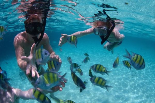 Angthong National Marine Park – Excursion en speed boat