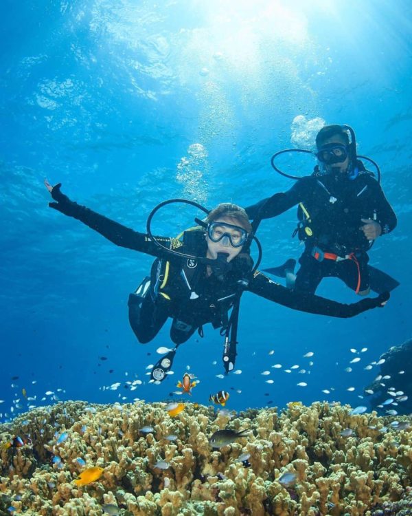 🤿 Cours de Plongée – PADI Discover Scuba Diving •	2 plongées Koh Tao ou Ang Thong