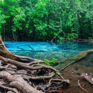 Excursion Jungle – Emerald Pool & Cascade d’eau chaude